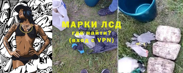 дурь Бородино