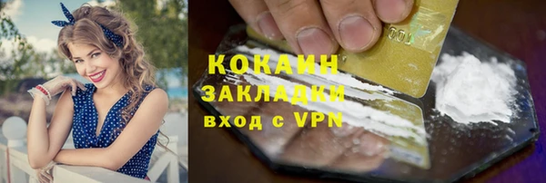 дурь Бородино