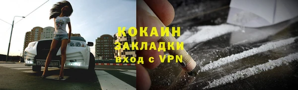 дурь Бородино