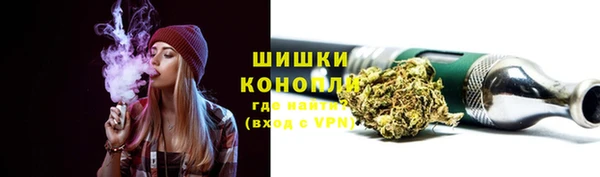 дурь Бородино