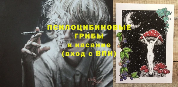 дурь Бородино